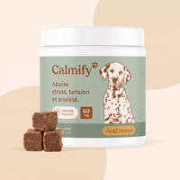 Calmify — Friandises Calmantes pour Chien