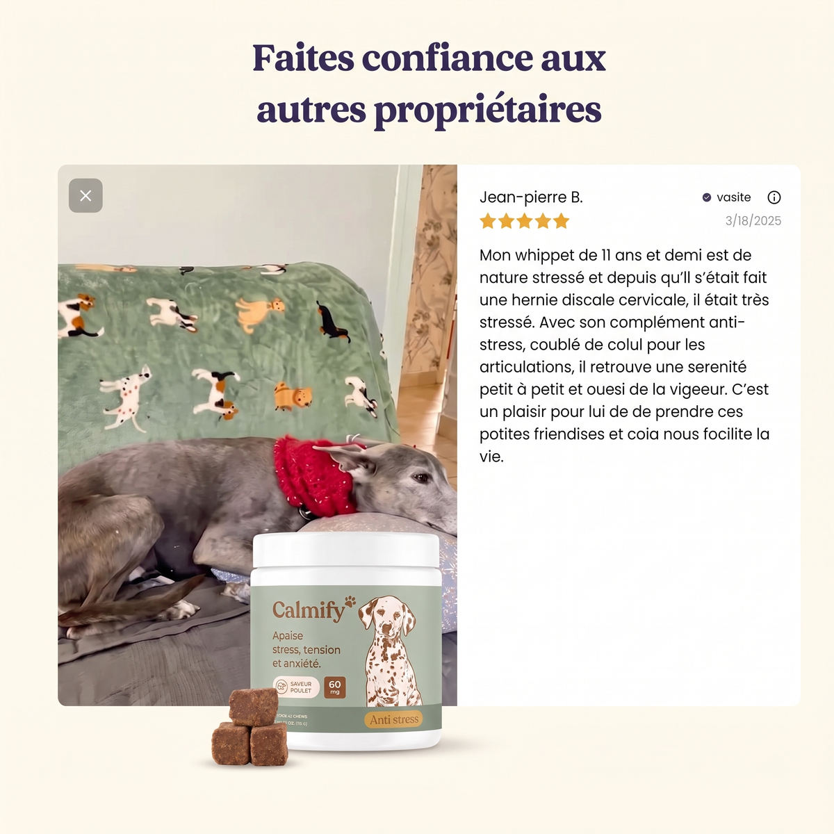 Calmify — Friandises Calmantes pour Chien