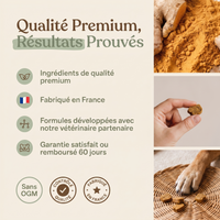 Calmify — Friandises Calmantes pour Chien