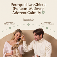 Calmify — Friandises Calmantes pour Chien